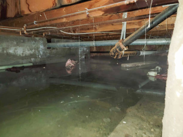 Best Water damage restoration process  in New Castle, PA