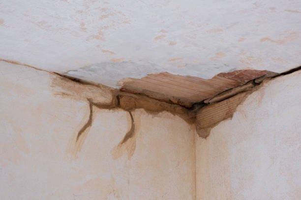 Best Commercial water damage restoration  in New Castle, PA