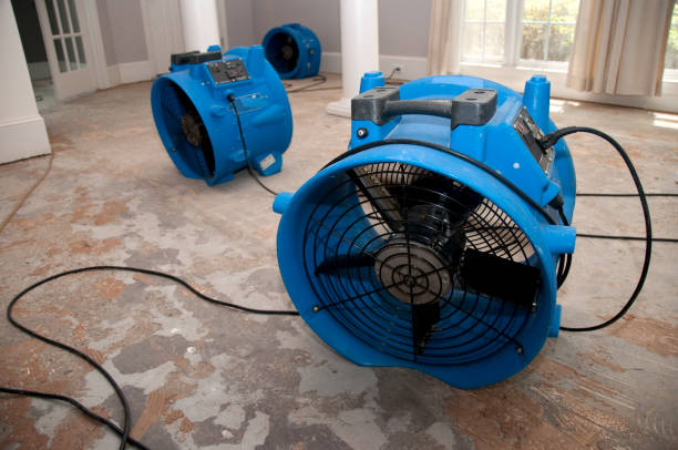 Best Water damage restoration near me  in New Castle, PA