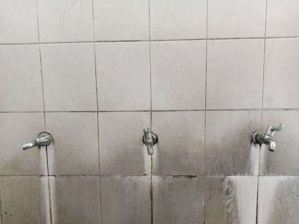 Best 24/7 water damage repair  in New Castle, PA