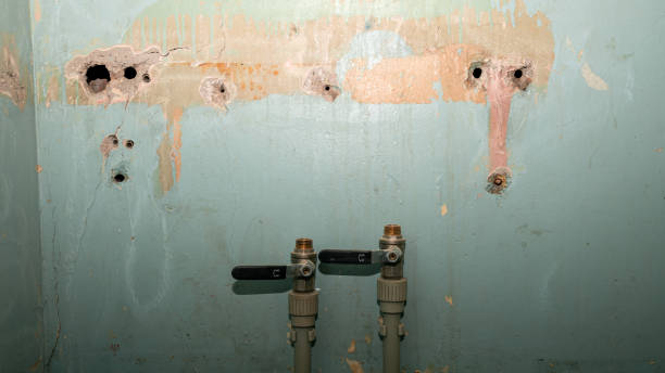 Best Emergency water damage restoration  in New Castle, PA