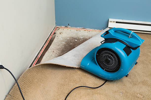 Best Professional water damage repair  in New Castle, PA
